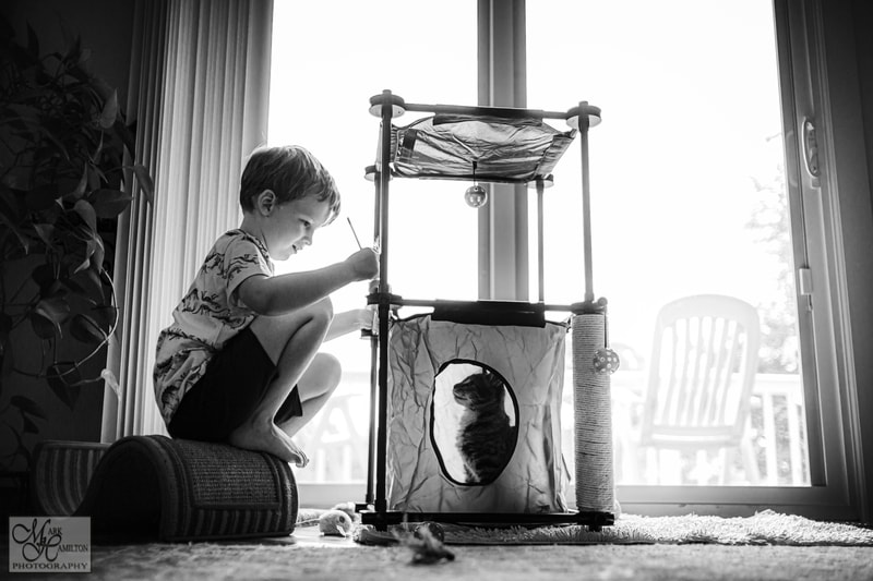 Documentary photography, boy and cat